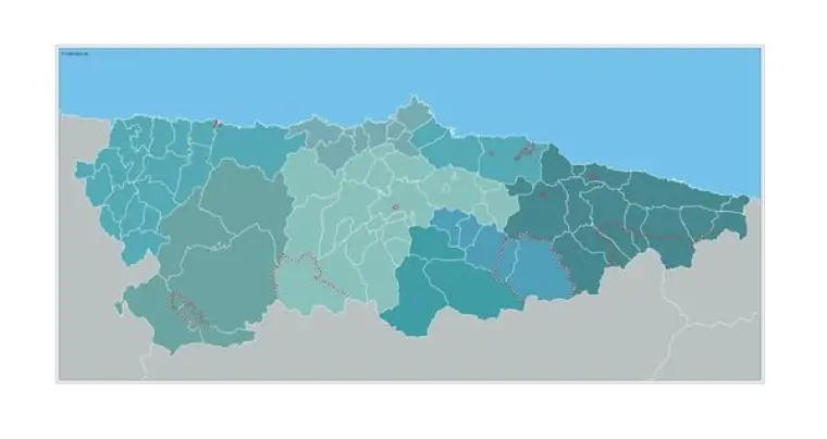 Mapa de municipios de Asturias — mudo