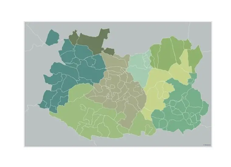 Mapa de municipios de Ciudad Real — mudo