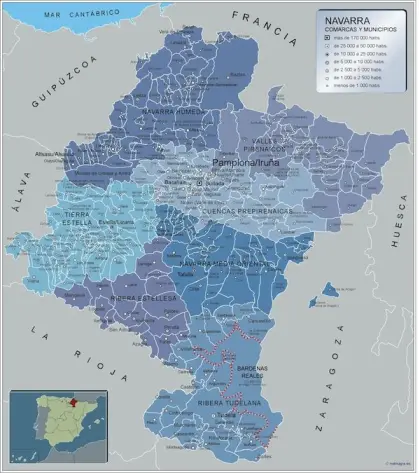 Mapa de municipios de Navarra — con nombres