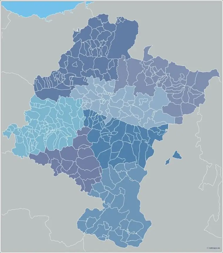 Mapa de municipios de Navarra — mudo