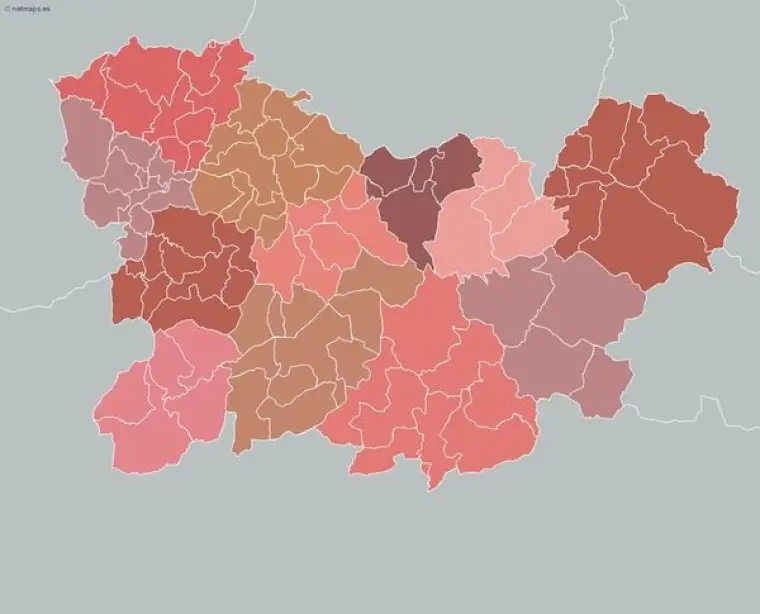 Mapa de municipios de Ourense — mudo