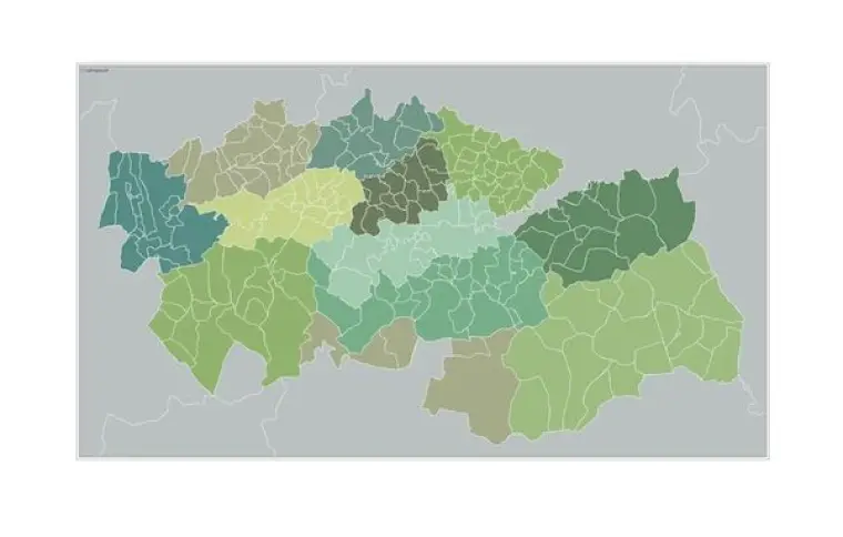 Mapa de municipios de Toledo — mudo
