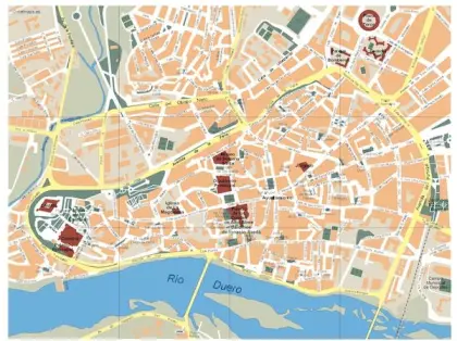 Plano vectorial de Zamora — con calles